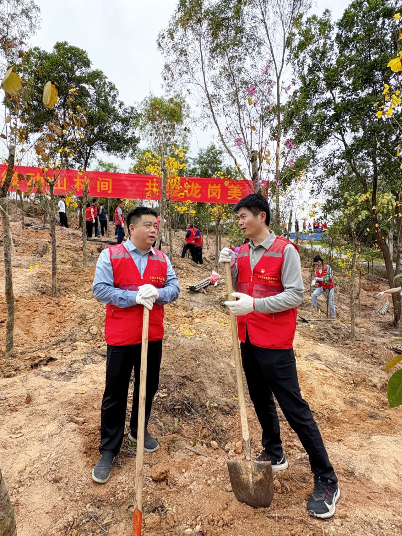 微信图片_20250527135747