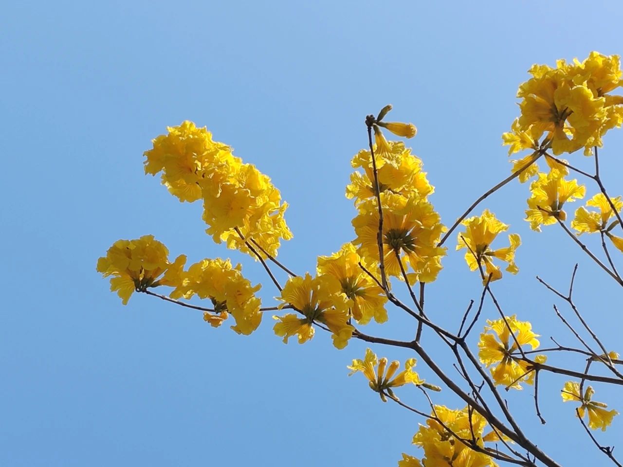 微信图片_20250527135733